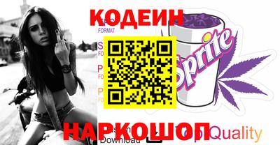 крисы Можга