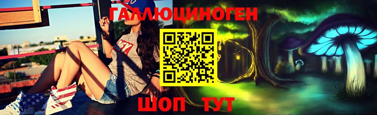 Псилоцибиновые грибы MAGIC MUSHROOMS  Псилоцибиновые грибы MAGIC MUSHROOMS  Вход с VPN  Черногорск 